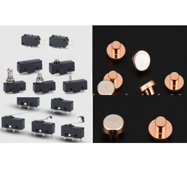 Micro Switch Contacts